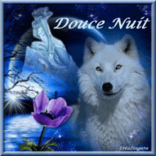 a greeting card with a white wolf and purple flowers