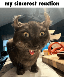 a cat with horns is sitting on a piece of paper with the words " my sincerest reaction " below it