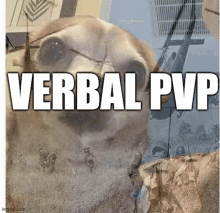 a picture of a dog with glasses and the words verbal pvp on it .