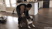 a woman is standing next to a bulldog in a living room with a vacuum cleaner in the background .