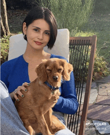 a woman in a blue sweater holds a brown dog in her lap