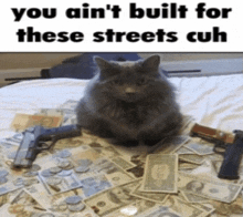 a cat is sitting on a bed surrounded by money and two guns