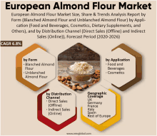 european almond flour market size share & trends analysis report by form blanched almond flour and unblanched almond flour by application