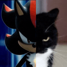 a black and white cat is sitting next to a picture of shadow the hedgehog .