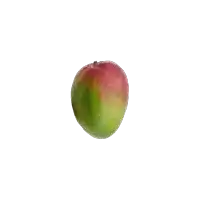 a mango with a red and green peel on a white background