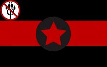 a black red and white flag with a red star in the center