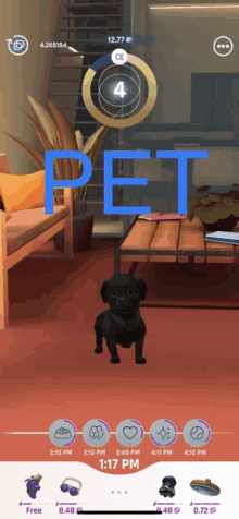 a screenshot of a video game called pet