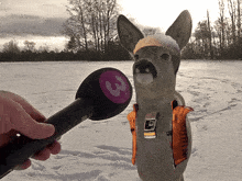 a deer wearing an orange vest and a hat is being interviewed by a microphone with the number 3 on it