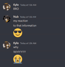 a screenshot of a chat with kylo and nub