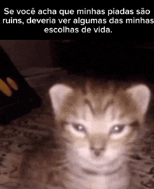 a picture of a cat with a caption that says se voce acha que minhas piadas sao ruins