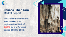 a banana fiber yarn market report shows the global banana fiber yarn market size registered a cagr of 5.00 for the forecast period 2023 to 2030