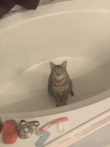 a cat is sitting in a bathtub next to razors and sponges