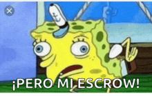 a cartoon spongebob says pero mi escrow in spanish