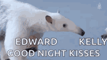 two polar bears are kissing each other with the words `` edward kelly good night kisses '' below them .