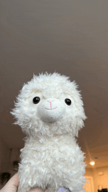 a person holding a white stuffed animal with a pink nose