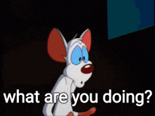 pinky and the brain is a cartoon character that is asking what are you doing .