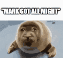 a seal with a face on it and the words `` mark got all might '' written on it .