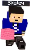 a minecraft character is holding a pink block and has the name skatey above him .