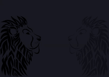 a lion 's head is shown on a black background