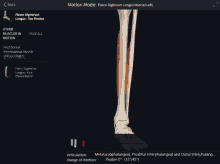 a computer screen shows the muscles in motion