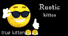 a smiley face with sunglasses and the words " rustic kitten " below it