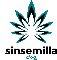 a logo for sinsemilla cbg shows a marijuana leaf