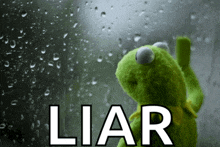 kermit the frog is looking out a window with the word liar written on it