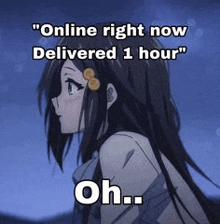 a picture of a girl with long hair and the words `` online right now delivered 1 hour oh ... '' .