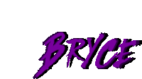 a purple logo for bryce on a white background