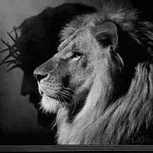 a black and white photo of a lion with a crown of thorns in the background