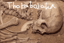 a skeleton is laying in the dirt with the words thatabolaka written on it