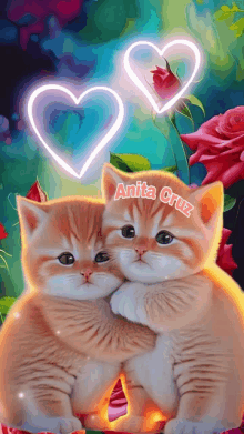 two kittens hugging each other with the name anita cruz on the bottom right