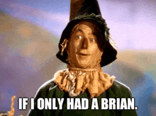 a scarecrow from the wizard of oz is saying if i only had a brian