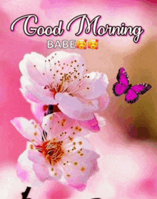 a good morning babe greeting card with a butterfly and flowers