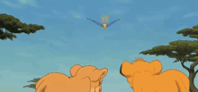 a cartoon lion looking up at a bird in the sky