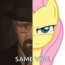 a cartoon of a man and a pony with the words same vibe below them