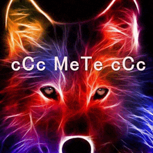 a picture of a colorful wolf with the words ccc mete ccc on the bottom