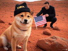 a dog wearing a beanie that says dea stands in front of a man holding an american flag