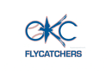 a blue and red logo for the flycatchers