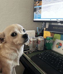 a can of sprite sits on a desk in front of a computer