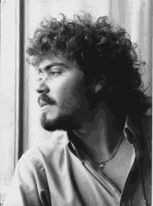 a man with curly hair and a beard looks out of a window