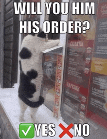 a black and white cat is standing in front of a window asking " will you him his order ? "