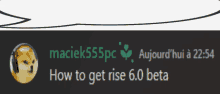 a picture of a doge with the words how to get rise 6.0 beta on it