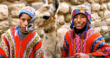 two young boys are sitting next to a llama and smiling .