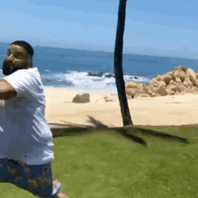 a man is kneeling down in front of a palm tree on the beach .