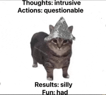 a cat wearing a tin foil hat is standing next to a white wall .