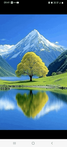 a phone screen shows a tree in front of a mountain