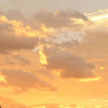 a sunset with a lot of clouds and a few trees in the foreground