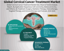 an advertisement for the global cervical cancer treatment market shows a picture of a woman 's uterus