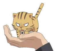 a hand is holding a cat with an angry look on it 's face